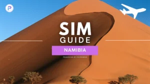 Namibia SIM Guide: Welche eSIM soll ich nutzen? POVNOMAD