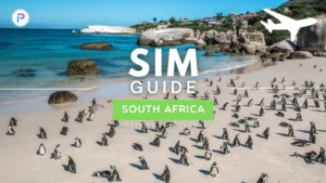 Welche eSIM für Südafrika? POVNOMAD